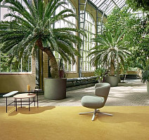 Forbo Marmoleum Decibel on Order 325935 mustard фото 2 | FLOORDEALER